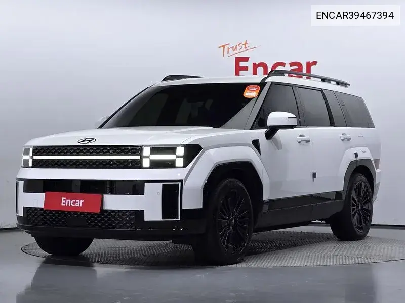 Hyundai Santa Fe 2023 года выпуска