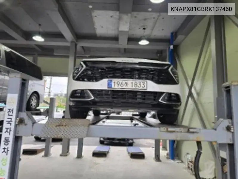 Kia Sportage 2024 года выпуска