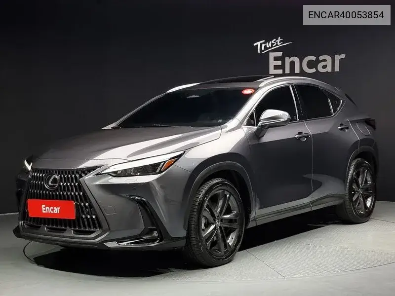 Lexus NX 2022 года выпуска