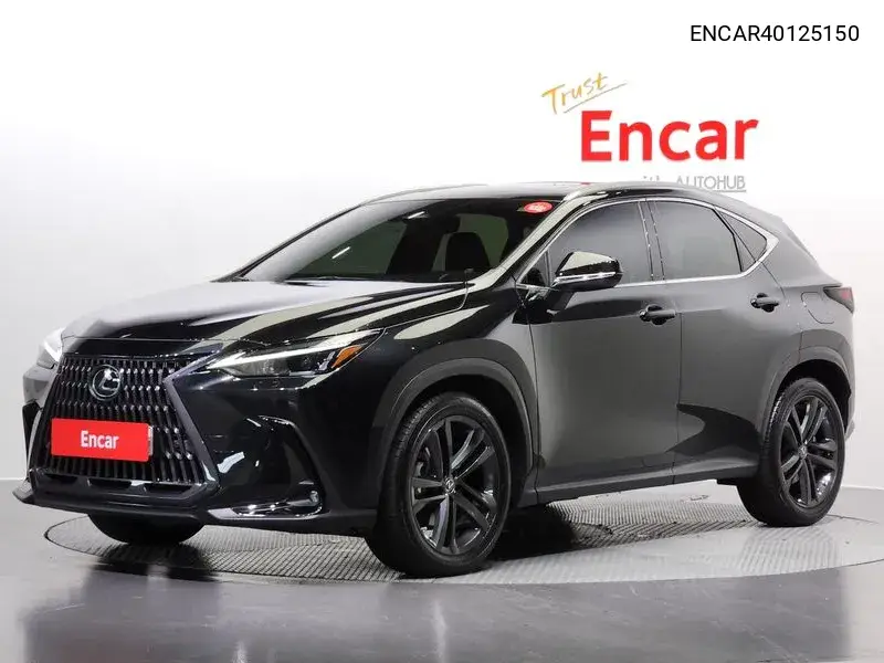 Lexus NX 2022 года выпуска