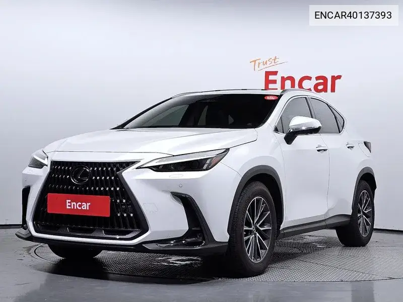 Lexus NX 2022 года выпуска
