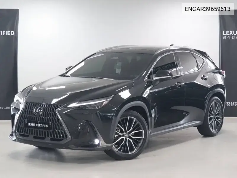Lexus NX 2023 года выпуска