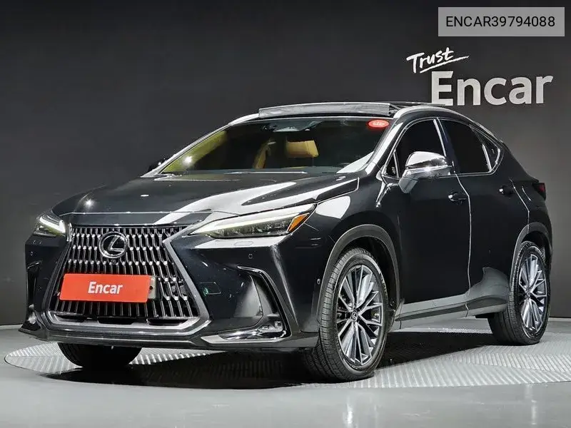 Lexus NX 2023 года выпуска