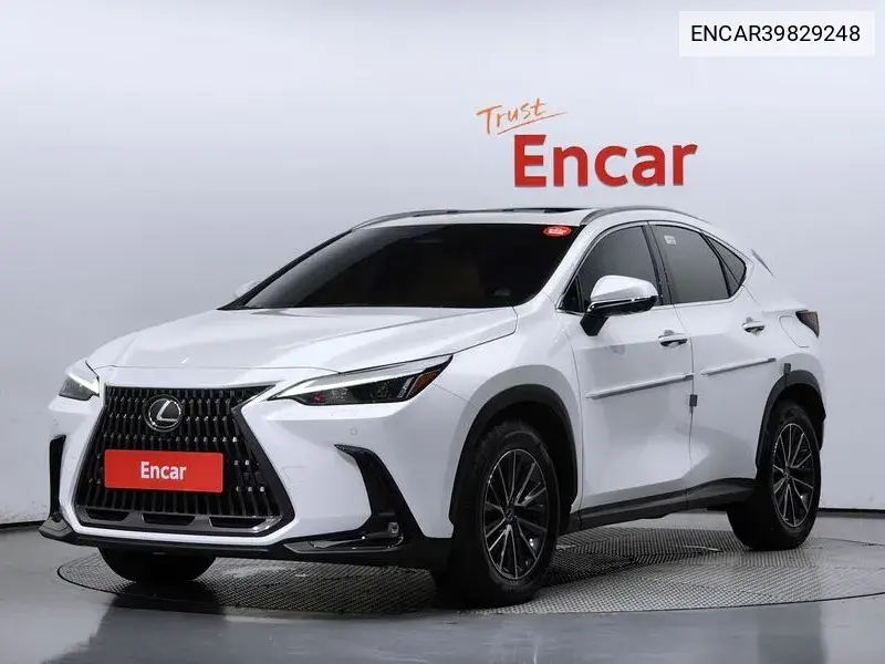 Lexus NX 2023 года выпуска