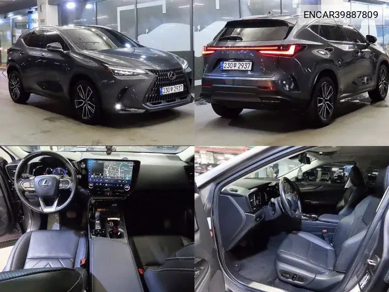 Lexus NX 2023 года выпуска