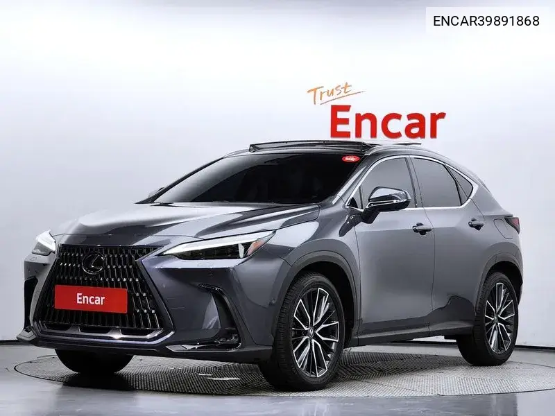 Lexus NX 2023 года выпуска