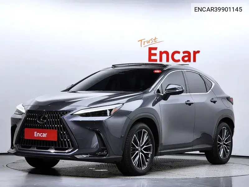 Lexus NX 2023 года выпуска