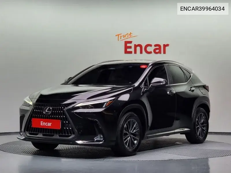 Lexus NX 2023 года выпуска