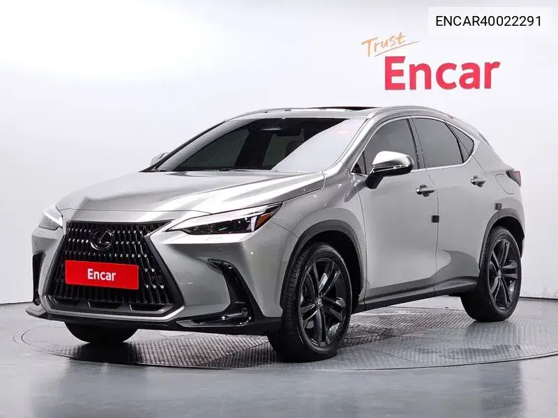 Lexus NX 2023 года выпуска