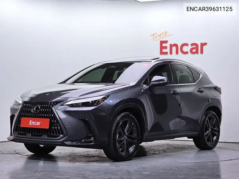 Lexus NX 2024 года выпуска