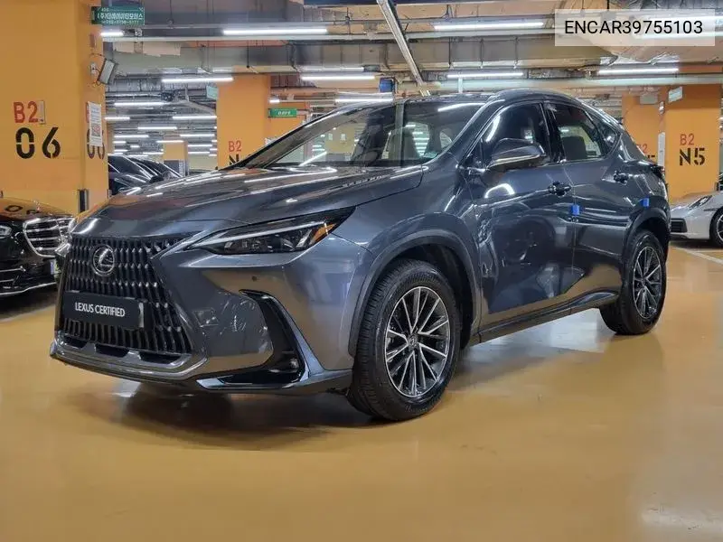 Lexus NX 2024 года выпуска