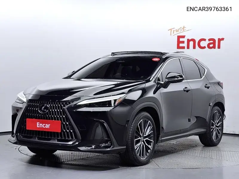 Lexus NX 2024 года выпуска