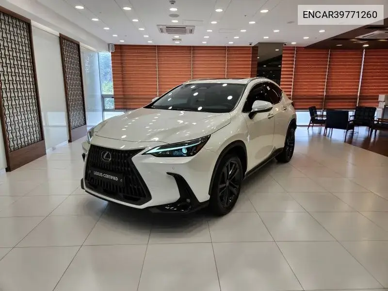 Lexus NX 2024 года выпуска