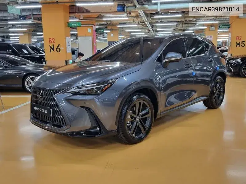 Lexus NX 2024 года выпуска