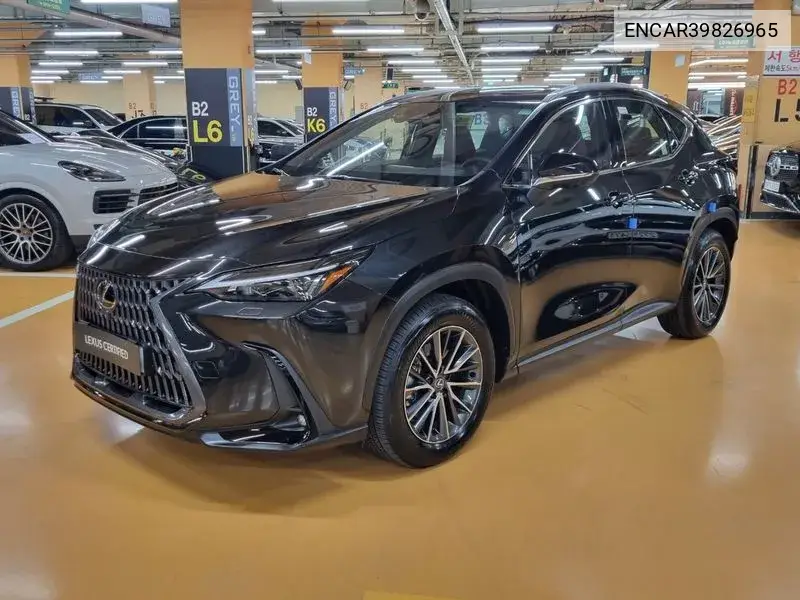 Lexus NX 2024 года выпуска