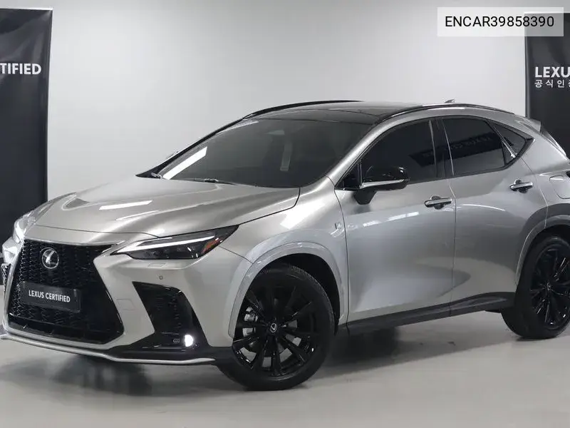 Lexus NX 2024 года выпуска