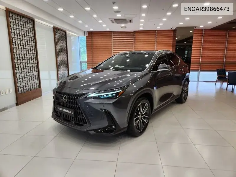 Lexus NX 2024 года выпуска