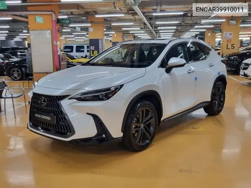Lexus NX 2024 года выпуска