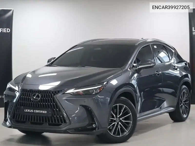 Lexus NX 2024 года выпуска