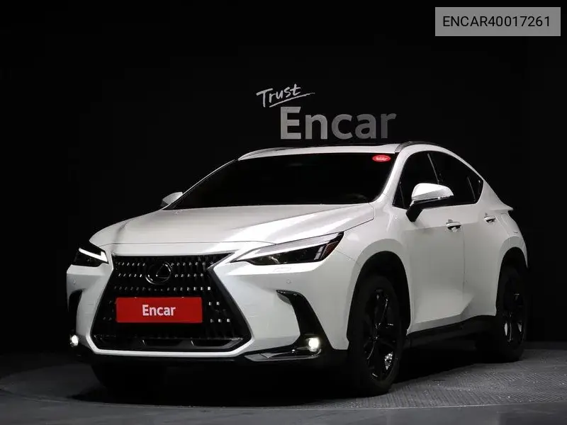 Lexus NX 2024 года выпуска