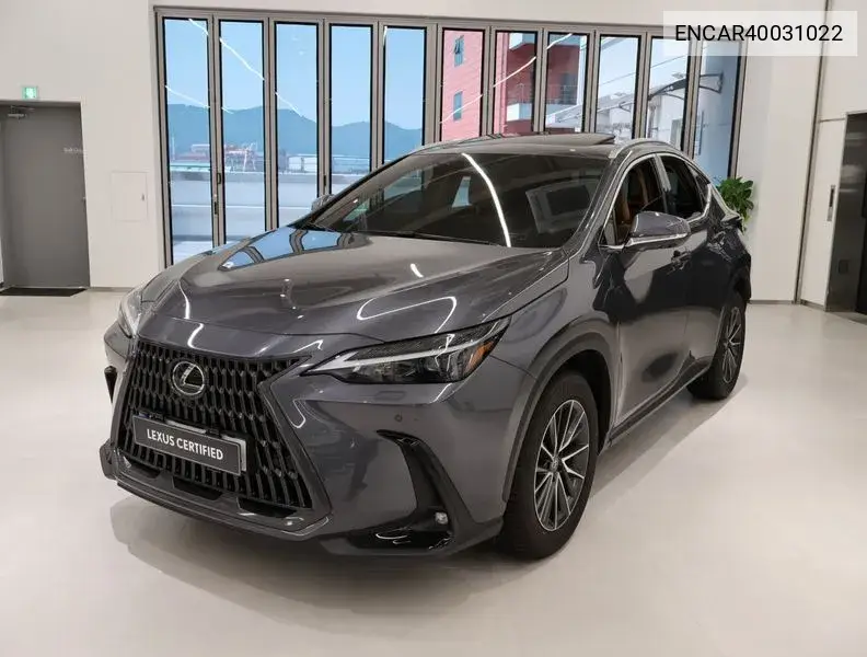 Lexus NX 2024 года выпуска
