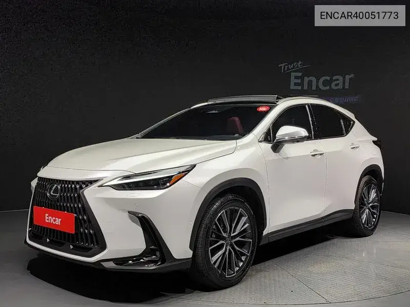 Lexus NX 2024 года выпуска