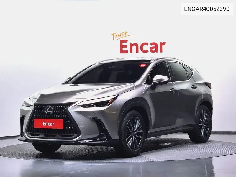 Lexus NX 2024 года выпуска