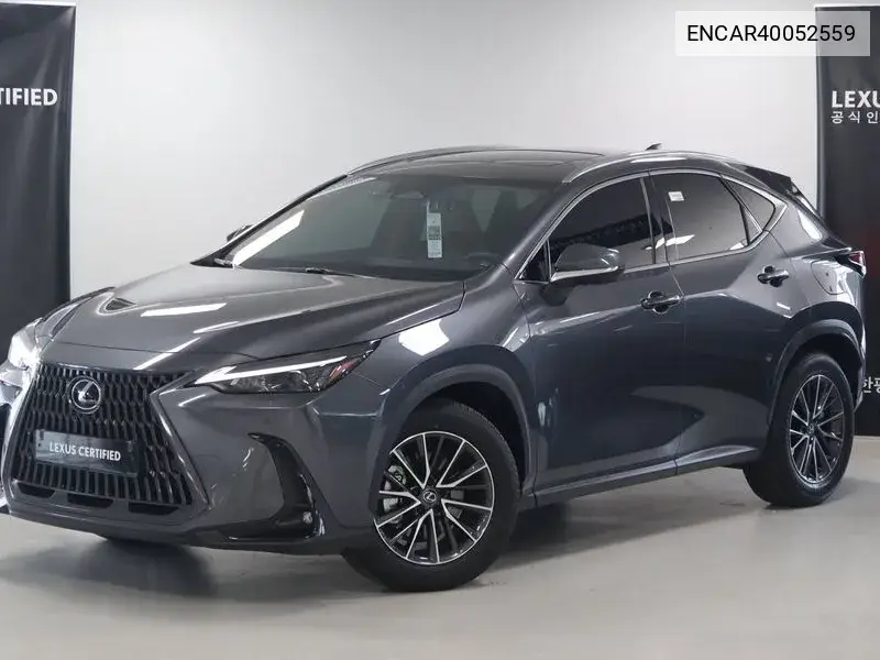 Lexus NX 2024 года выпуска