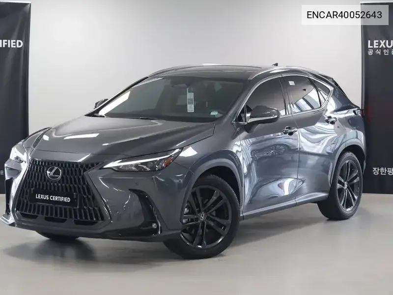 Lexus NX 2024 года выпуска