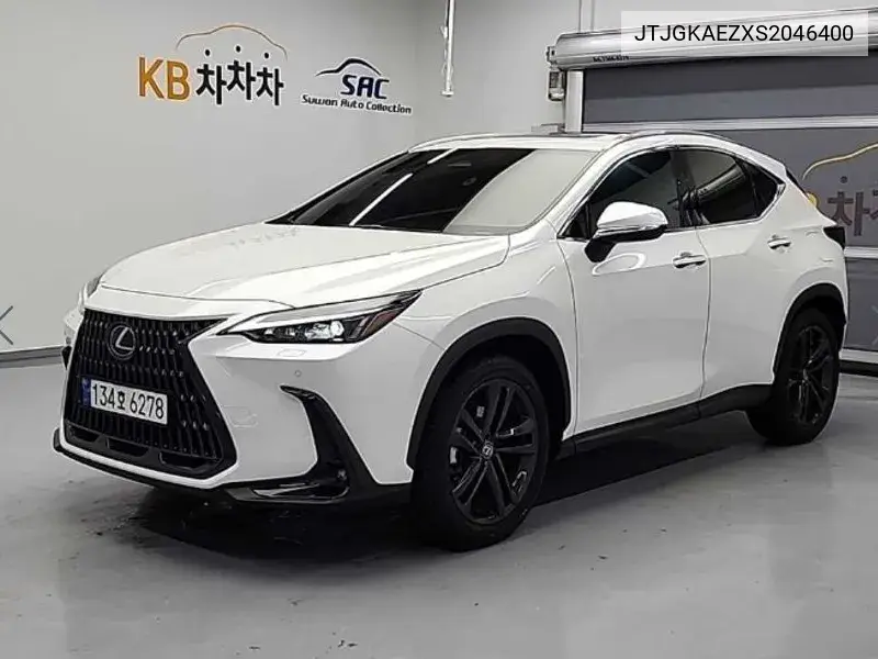 Lexus NX 2024 года выпуска