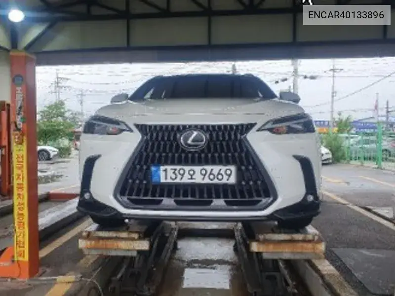 Lexus NX 2024 года выпуска