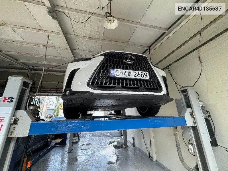 Lexus NX 2024 года выпуска