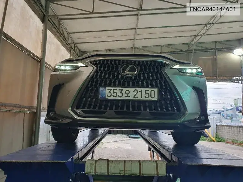 Lexus NX 2024 года выпуска