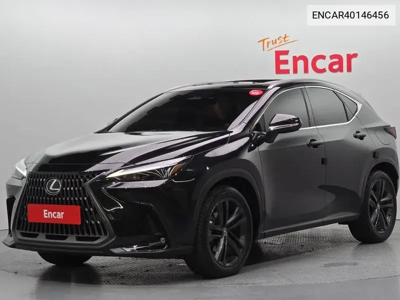 Lexus NX 2024 года выпуска