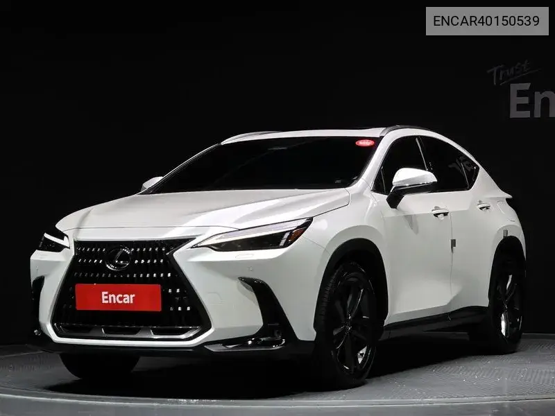 Lexus NX 2024 года выпуска