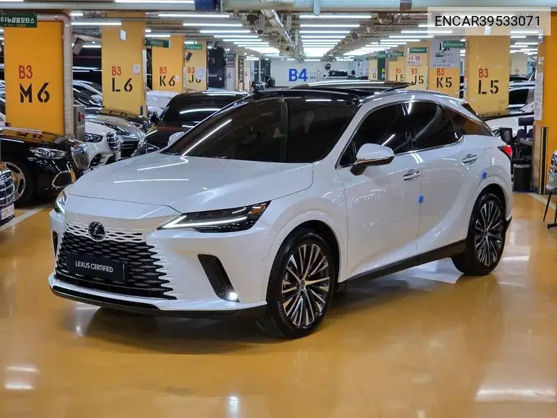 Lexus RX 2024 года выпуска