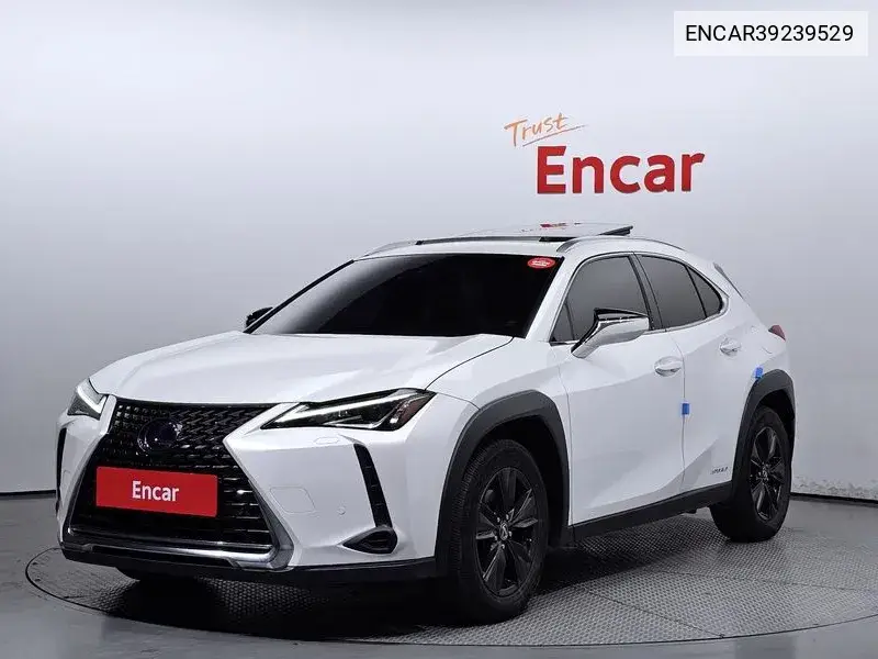 Lexus UX 2019 года выпуска
