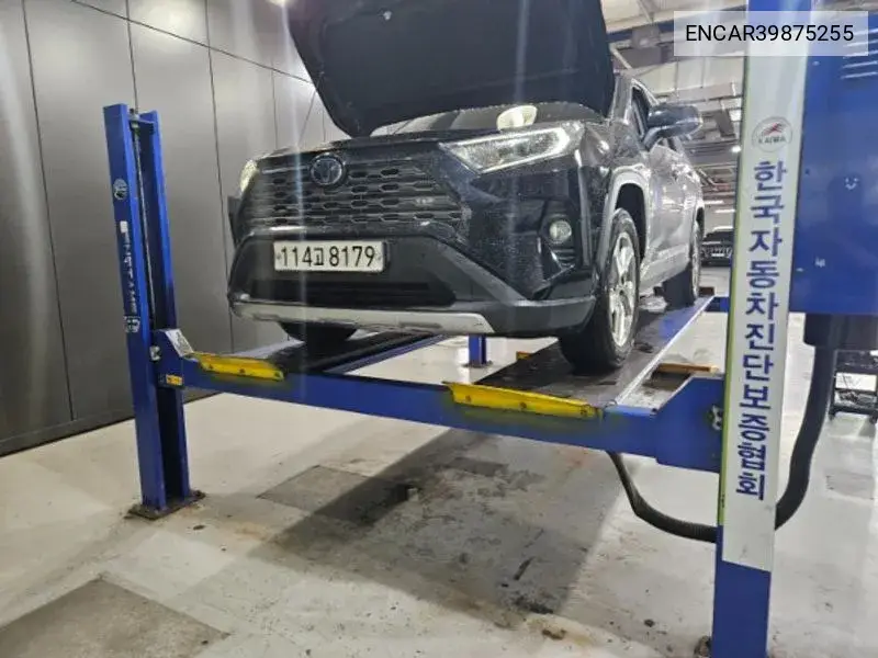Toyota RAV 4 2021 года выпуска